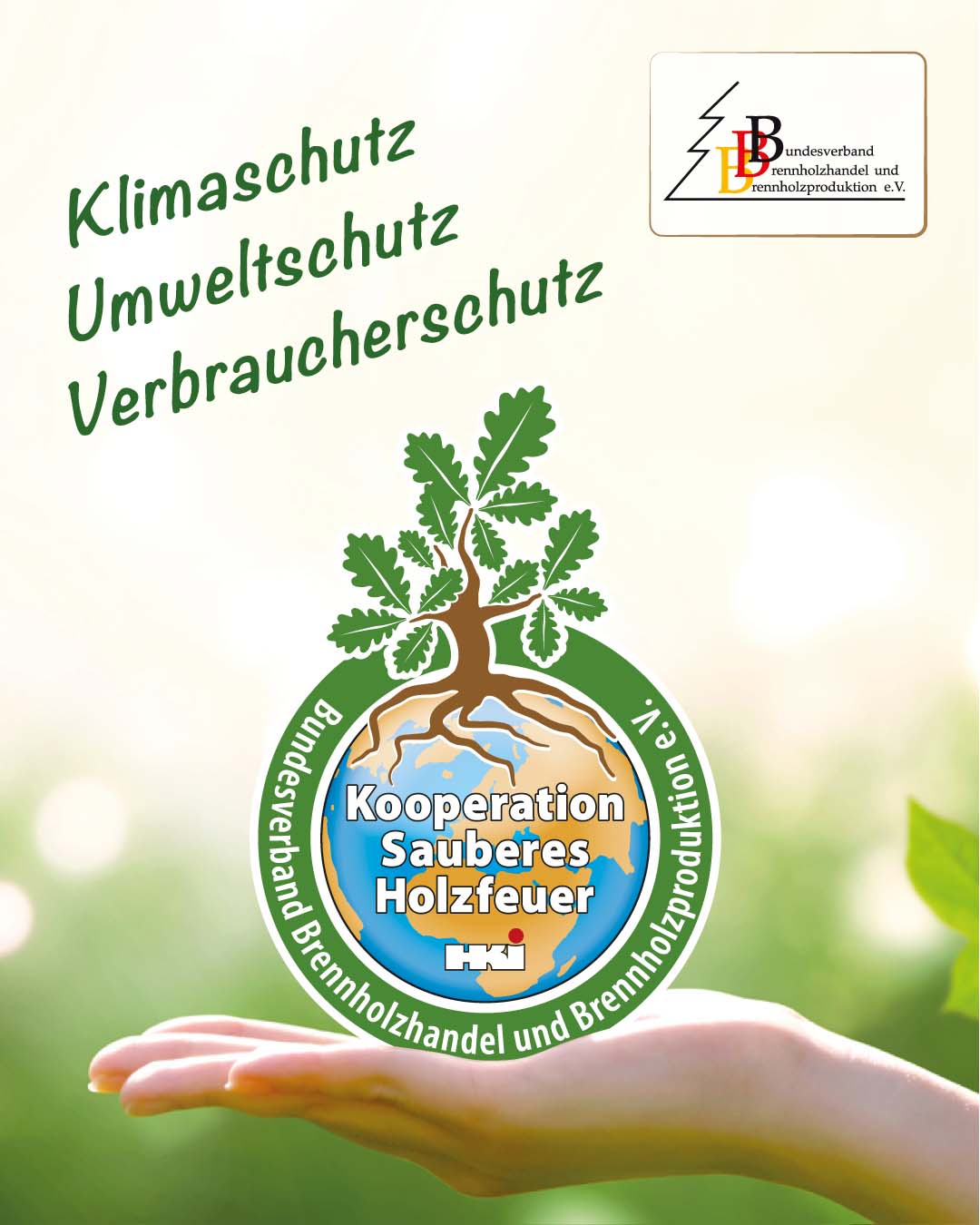 Siegel der Kooperation für sauberes Holzfeuer, das die nachhaltigen und umweltfreundlichen Maßnahmen von Kaminholz Breuer im Brennholzhandel repräsentiert.
