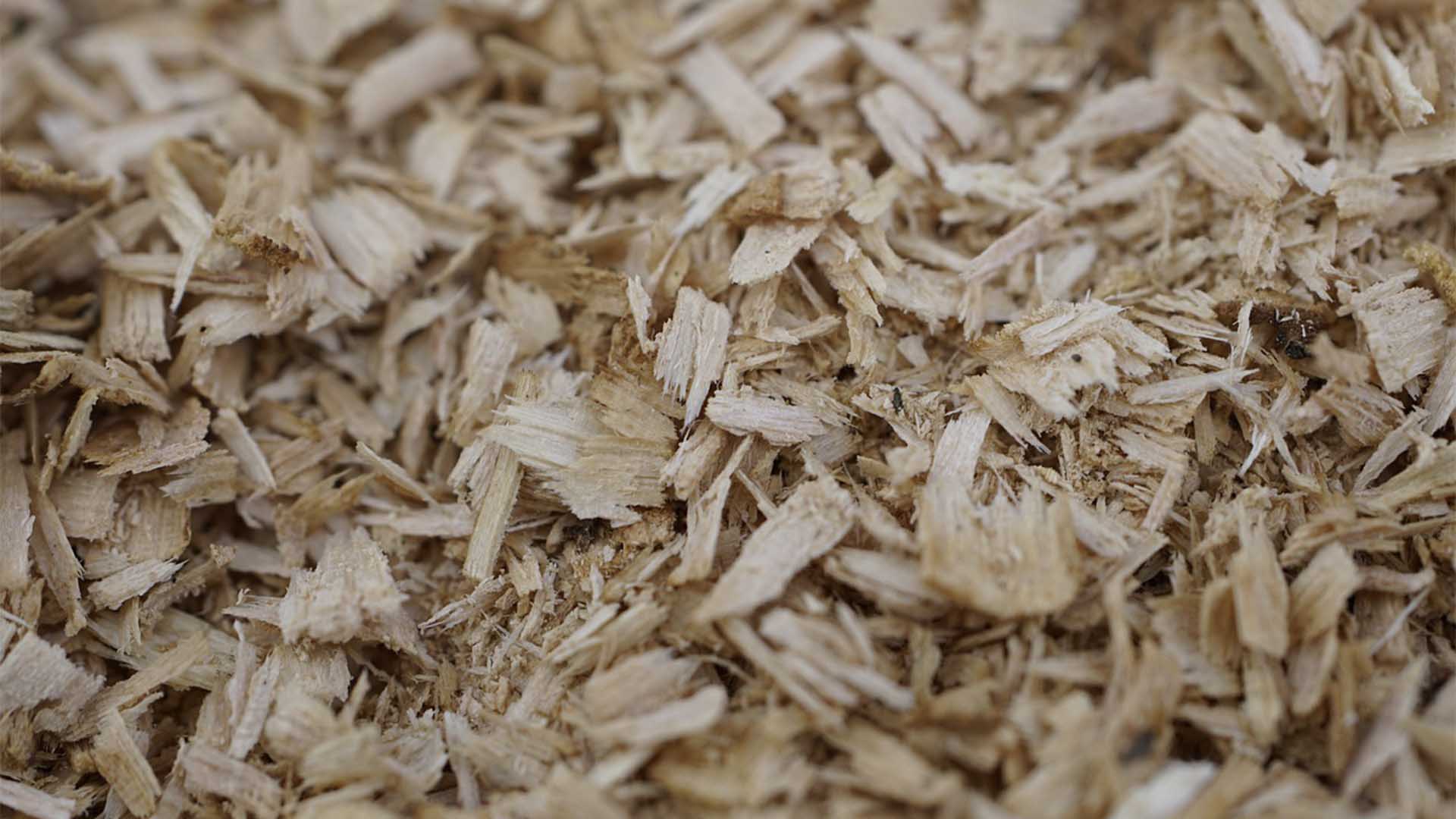 Holzspäne zur Herstellung von Pellets